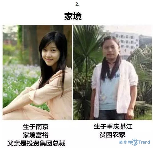 分析刘强东老婆奶茶妹章泽天和凤姐的成功之路