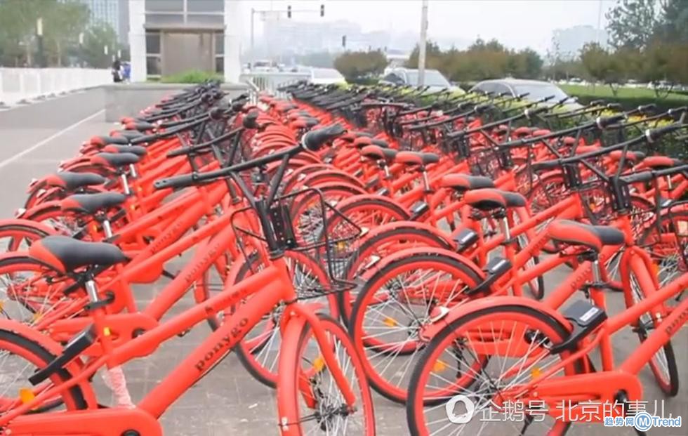 北京现小龙虾共享单车