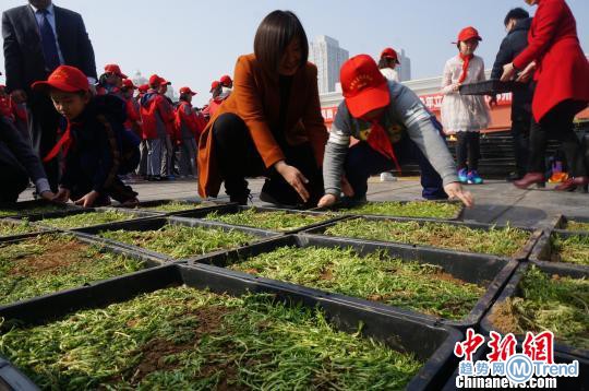 热点：闯闸机掌掴安检员 青少年楼顶植绿