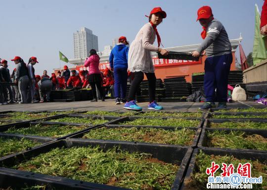 热点：闯闸机掌掴安检员 青少年楼顶植绿